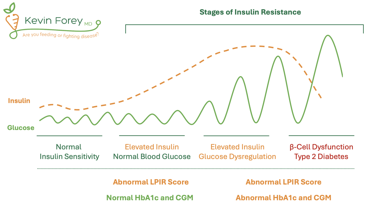 Understanding the Interconnected Crisis: Weight, Insulin, and Glucose – Centre for Foundation Studies