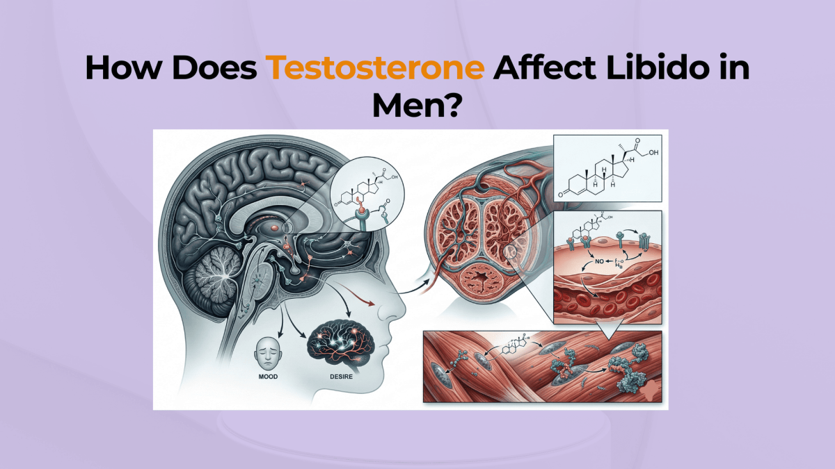 l carnitine increases libido Understanding the Science of Desire: What Drives Libido? – Centre for Foundation Studies 200 Veg Capsules