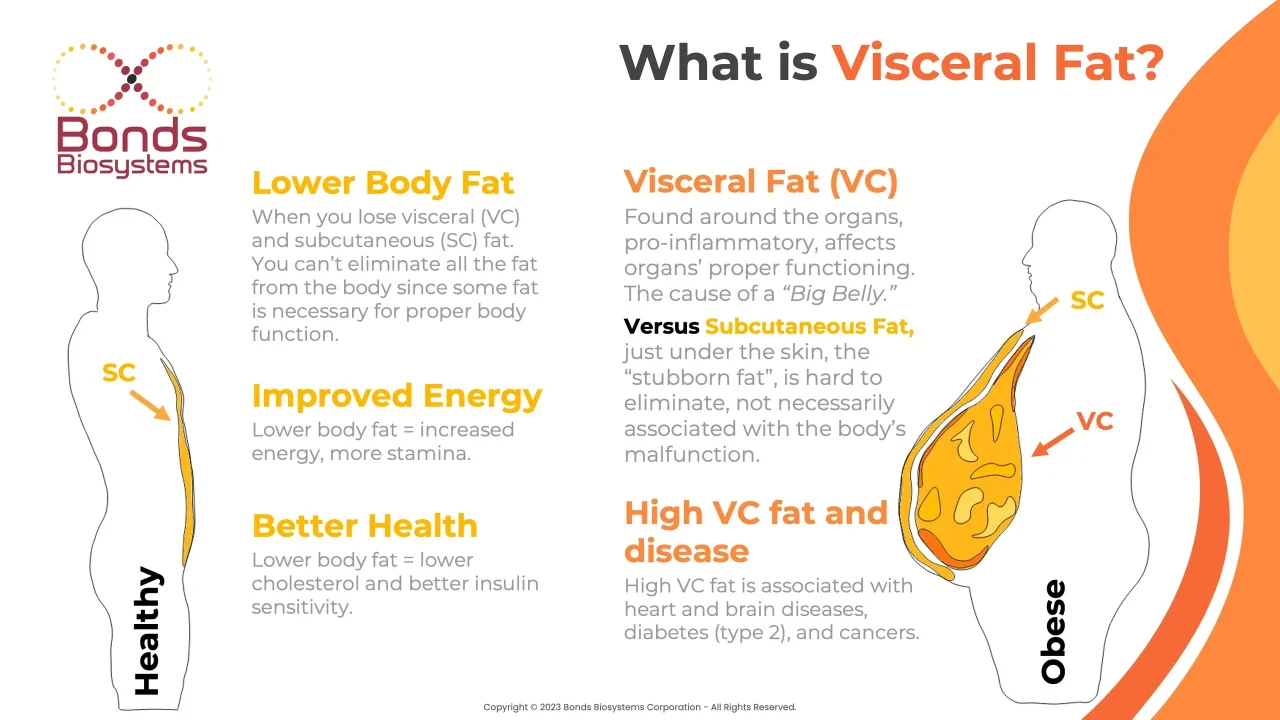 l carnitine visceral fat Belly Burner: The Ultimate Guide to Eliminating Deep Core Fat – Centre for Foundation Studies غسول نومبوزين مع فيتامين E Search Results | Skin Flavors:Orange Mango